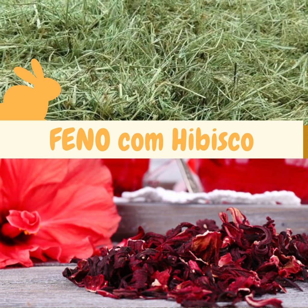 Feno Coast Cross com Hibisco - 500g