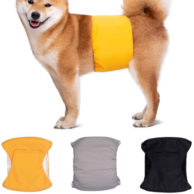 Roupa Íntima Masculina/Calça Fisiológica Impermeável Lavável Para Animais De Estimação/Cachorros/Filhotes