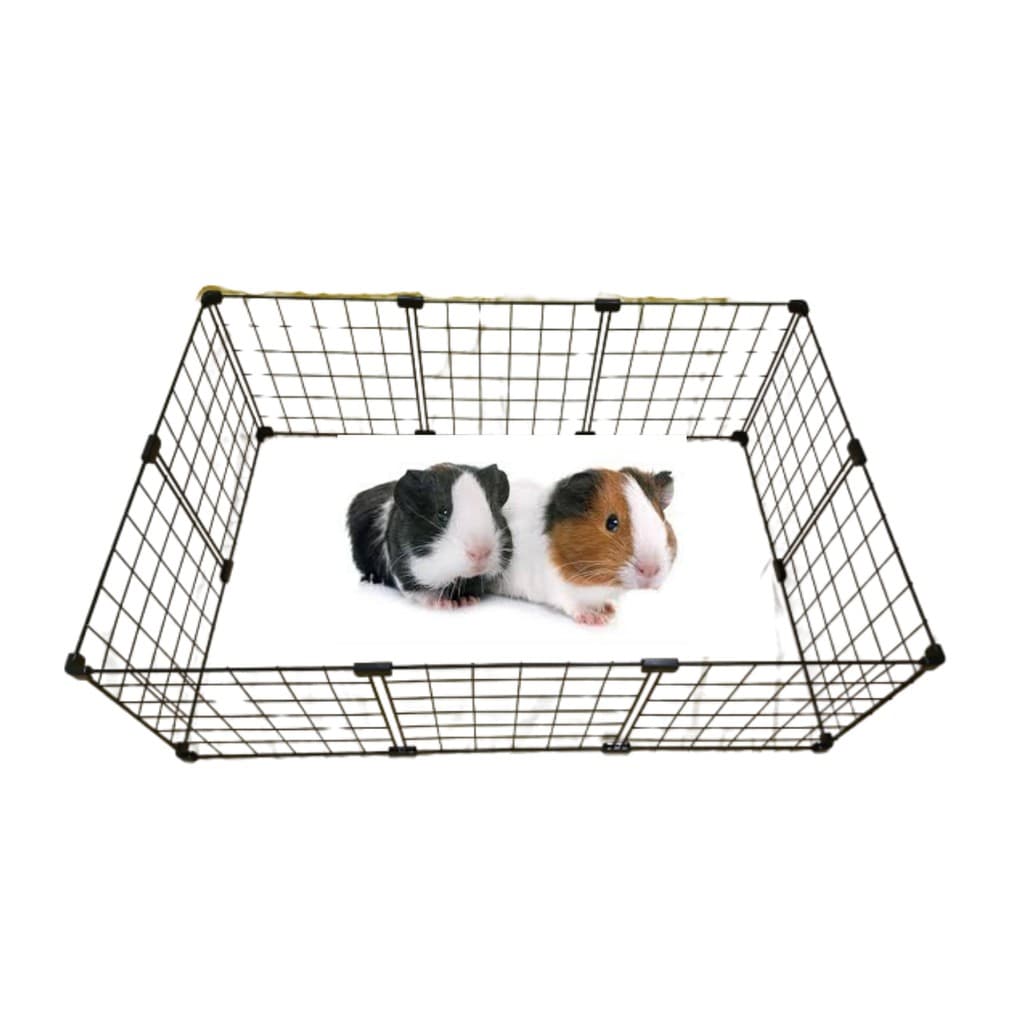 Cercadinho Para Porquinho Da Índia Em Tela Aramada