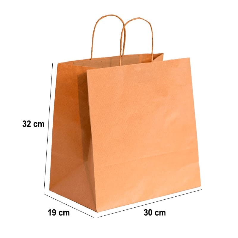 Sacola Kraft com alça 30x19x32 Parda ( 10 Unidades )