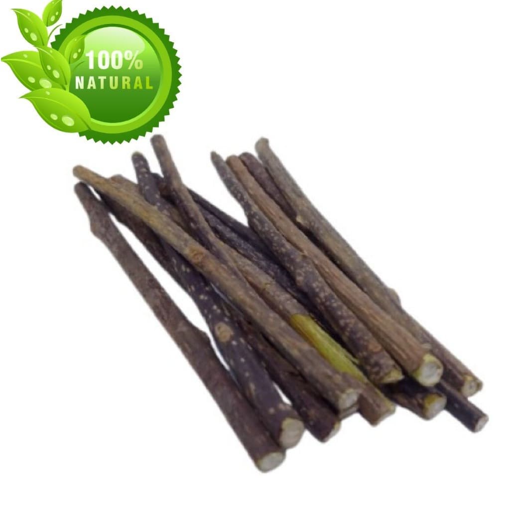 Vara Graveto Catnip Matatabi Limpa Dentes - Deixa o Gato Feliz