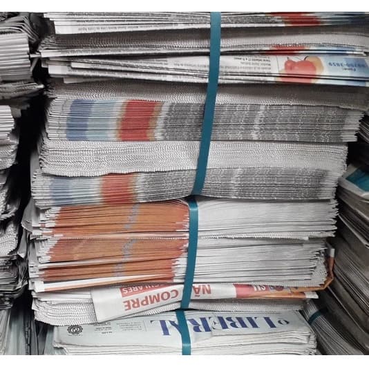 JORNAL NOVO , Limpo, S/ USO ,  2a LINHA (LEIA DESCRIÇÃO) Calopsita, Pet, Cão, Gato, Gaiola, embrulho