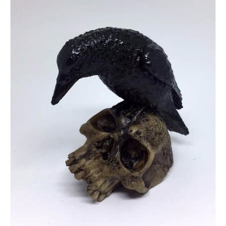 Cranio Caveira Com Corvo Resina