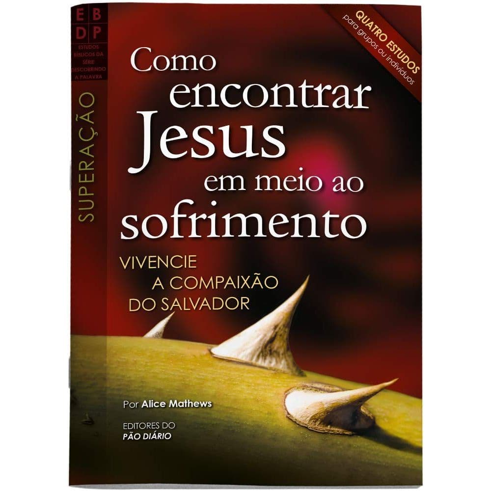 Como Encontrar Jesus Em Meio ao Sofrimento | Alice Mathews