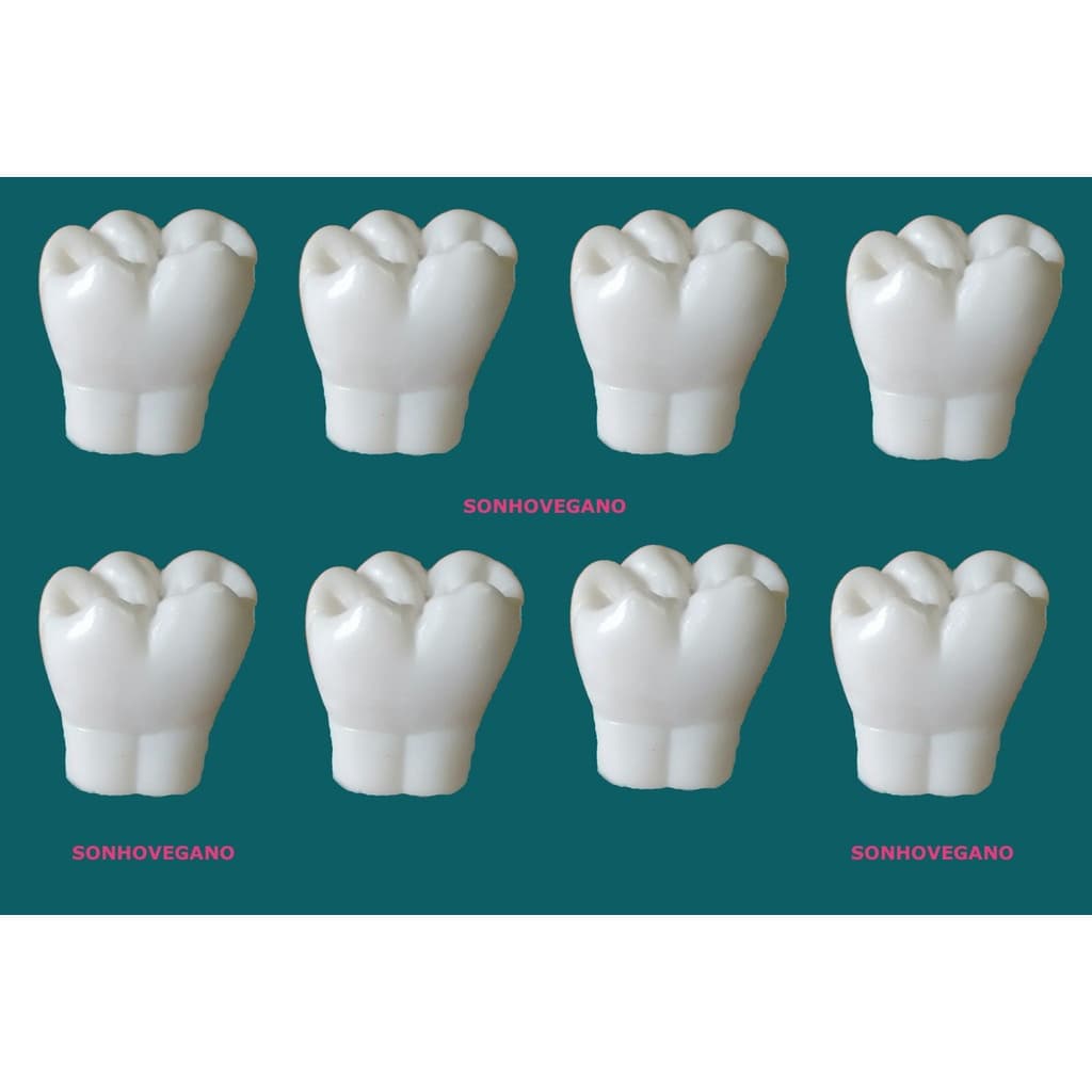 Lembrancinha Dente Molar Dentista odontologia Maternidade