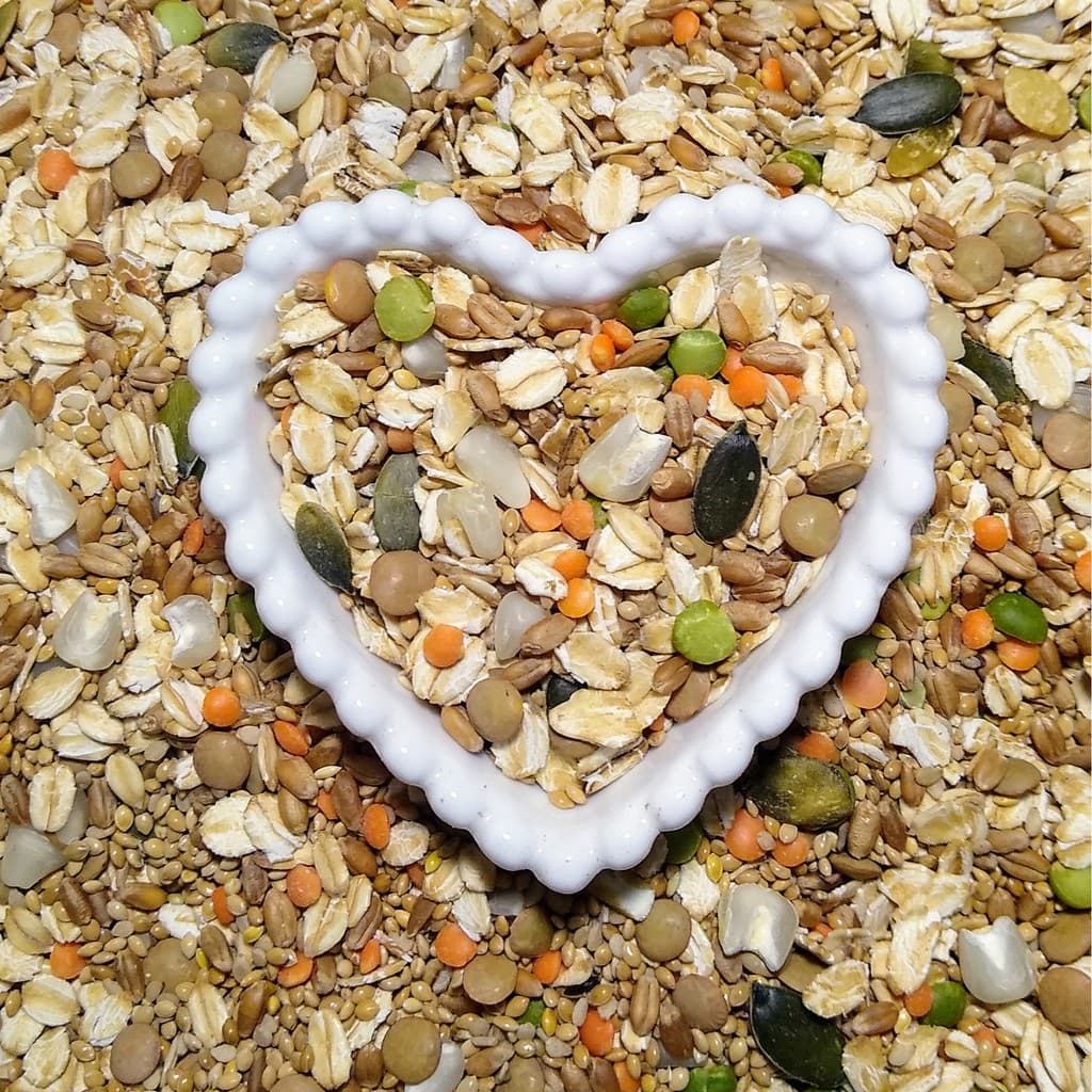 Mix de Sementes Caseiro Balanceado para Gerbil, gerbos, esquilo da mongólia - 250g, 500g