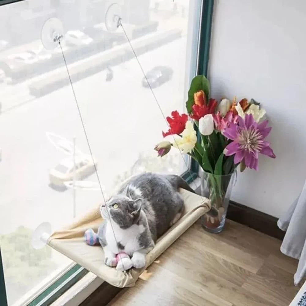 Cama de gato com ventosa para pendurar em janelas caminha