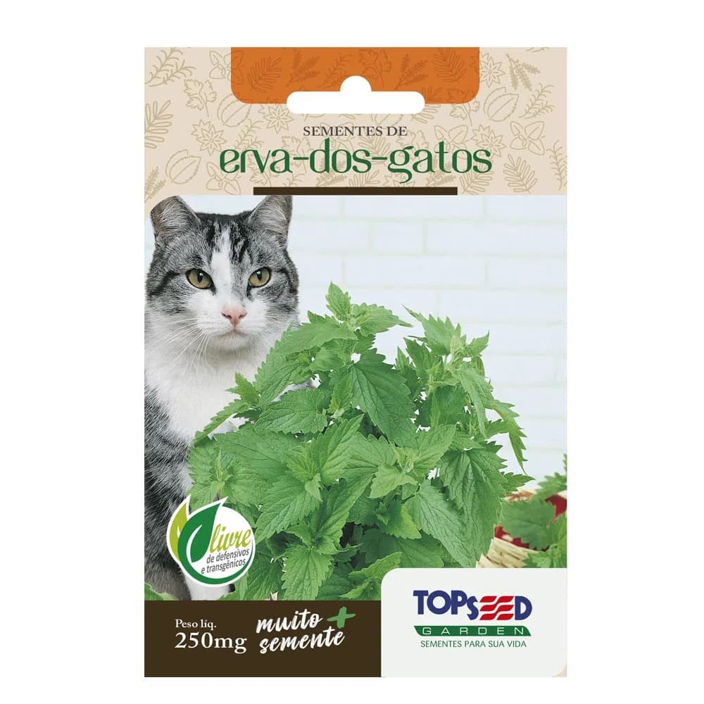 Semente Erva Dos Gatos CATNIP Topseed 250mg