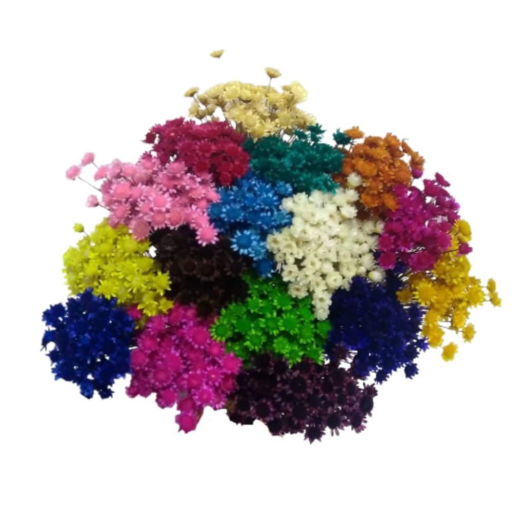 Sempre viva 250 Unidades flores Para Decoração Festa aniversario Arranjos fotografia Pinterest.