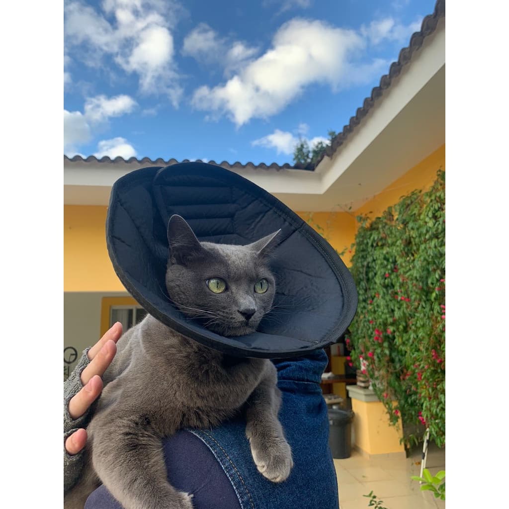 Colar Elizabetano em Tecido Confortével e Dobravel para Gatos