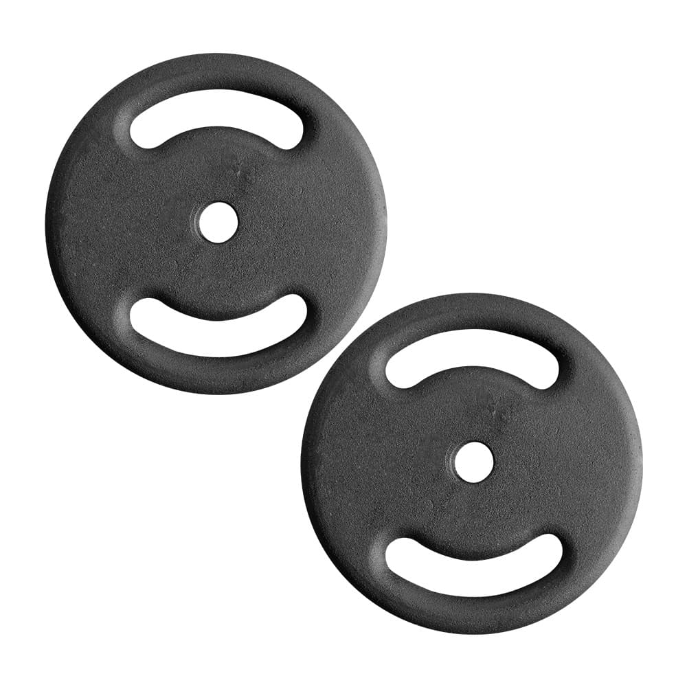 2 Anilhas Pintadas Peso 10 Kg Fitness Musculação