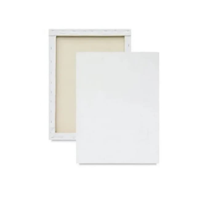 Telas Para Pintura 20X30 Kit com 10 unidades