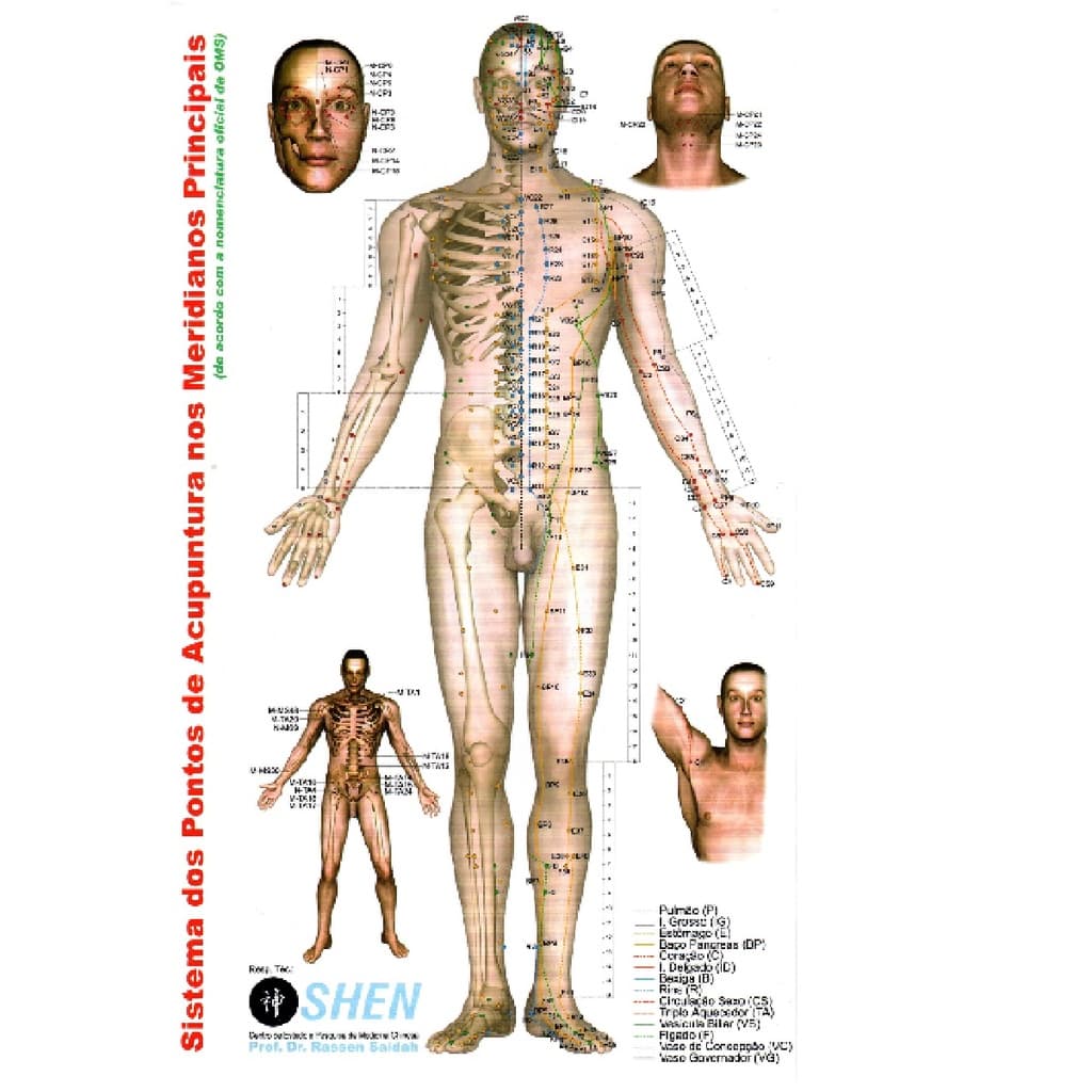 Mapa - Sistema dos Pontos de Acupuntura nos Meridianos Principais