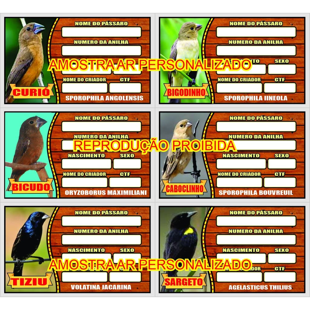 Placa De Gaiola Identificação De Pássaro 50 unidades sortidos de acordo com a sua necessidade