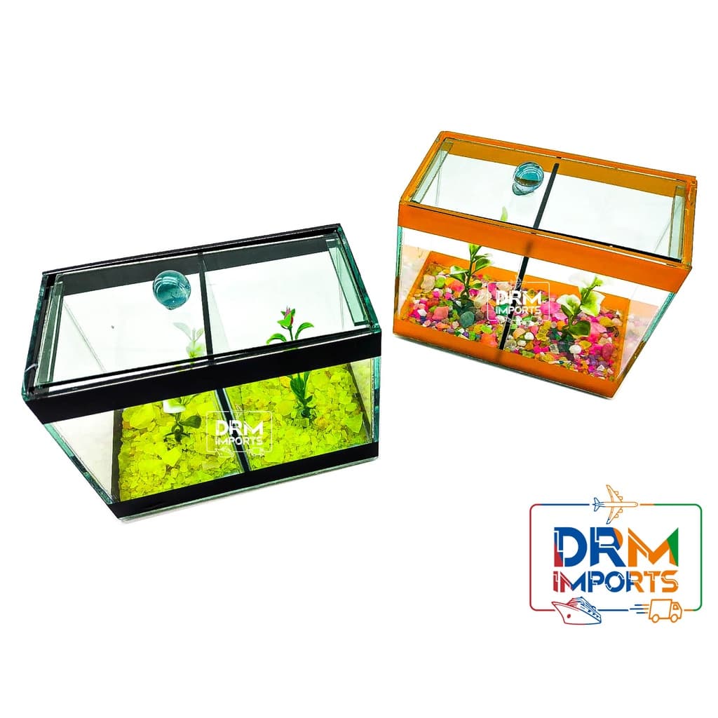 Aquário Beteira Dupla Decorado 17x9x13 1,9L 2 Peixes Betas