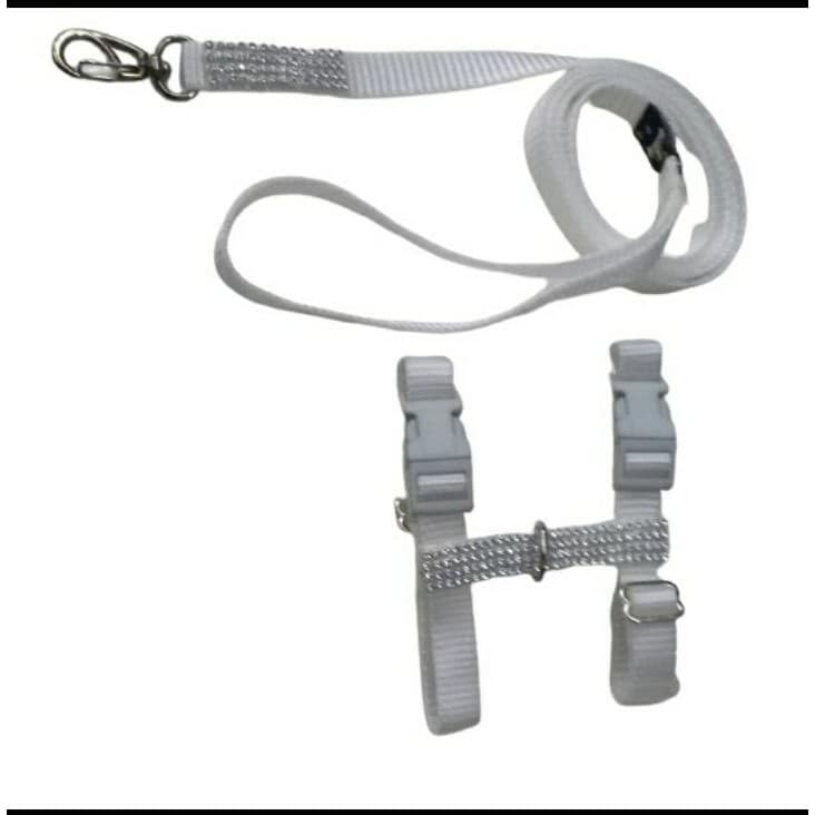 Peitoral e guia com strass para gatos fita de 15mm