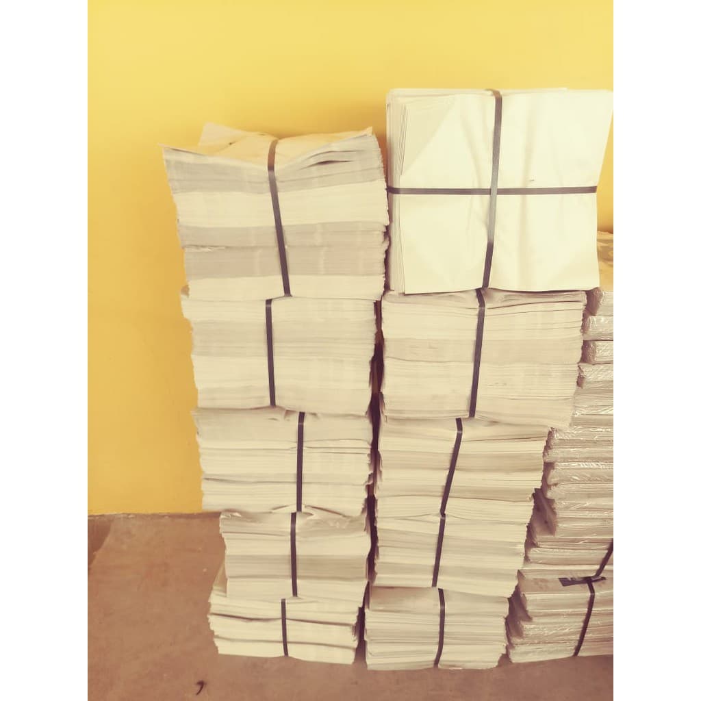 Jornal sem impressão biodegradável