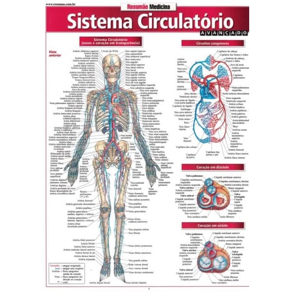 Livro - Resumao - Sistema Circulatorio Avancado