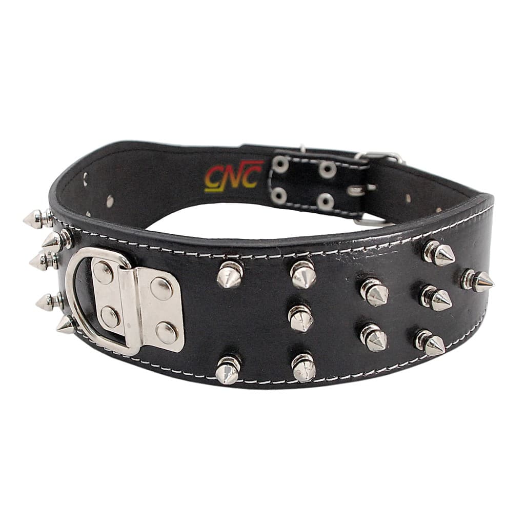Coleira Spikes Pitbull Rottwailer