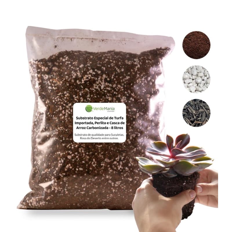 Substrato Especial para Suculentas, Cactos e Rosa do Deserto -Turfa, Perlita, Casca de Arroz - 8 L