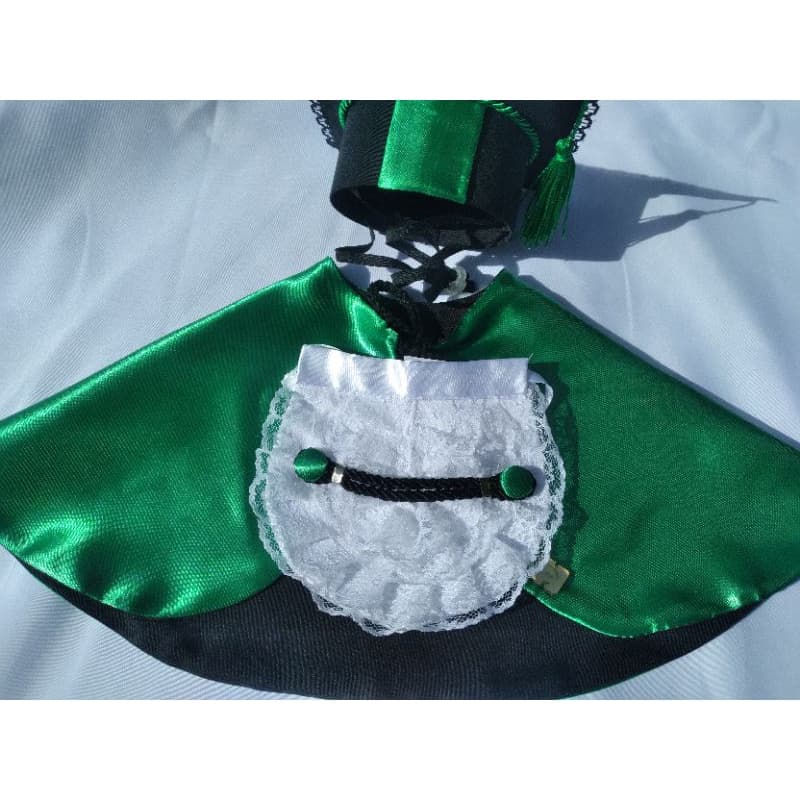 toga/formatura/cães e gatos