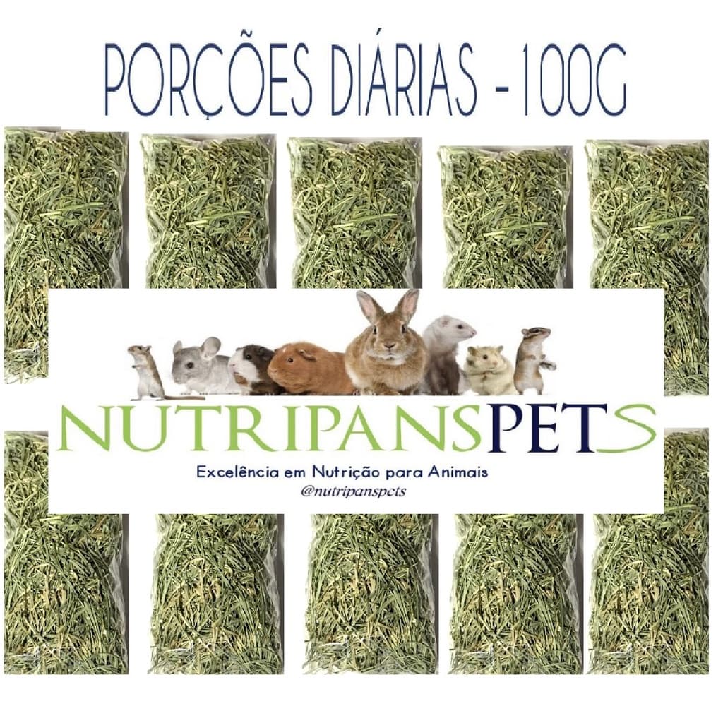 Porção diaria 10 unidades de 100gr de feno premium coast cross in natura