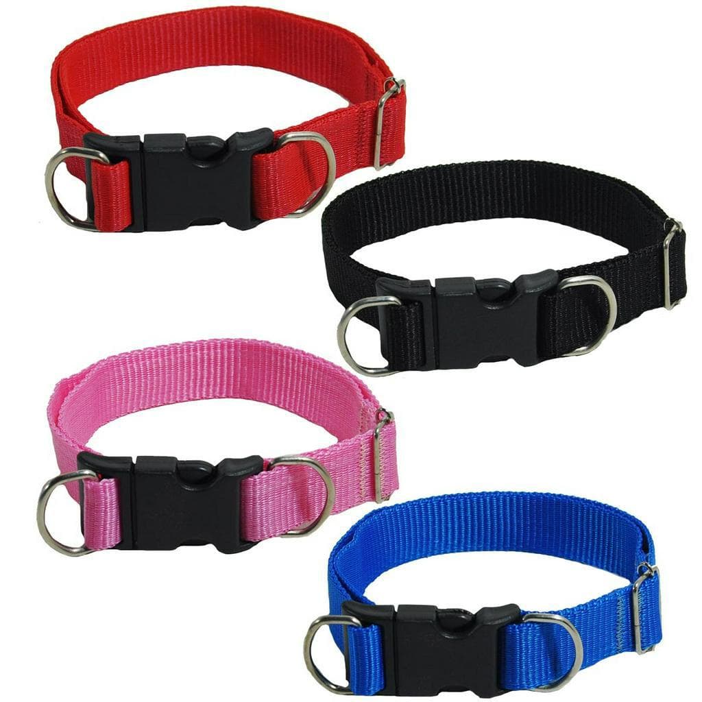 Coleira para Cachorro Ajustável e Resistente – Conforto para Todos os Tamanhos