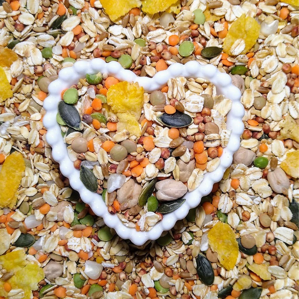 Mix de Sementes Caseiro Balanceado para Camundongos - 250g, 500g