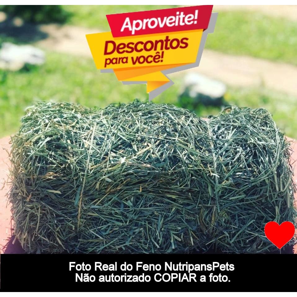 1,5 Kg Feno Coast Cross Premium - Nutripanspets