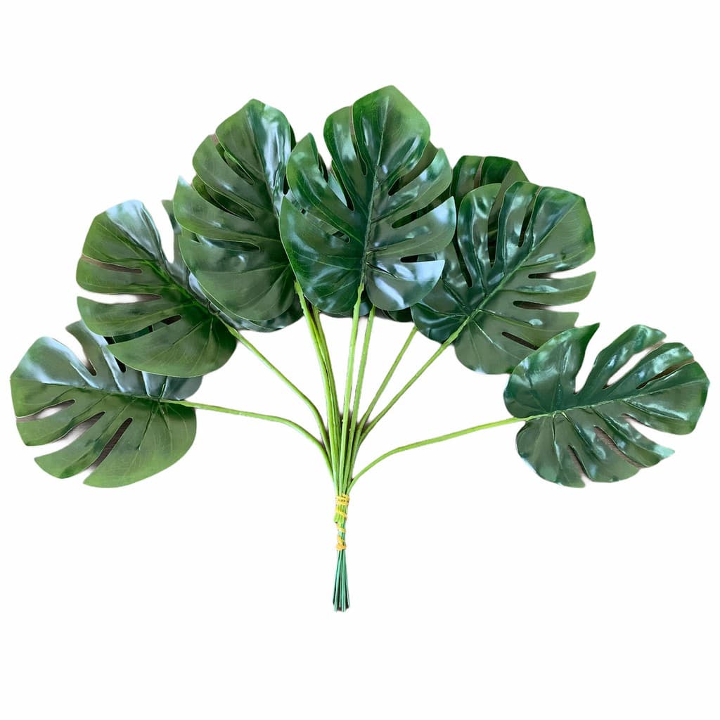 Kit com 12 Mini Folhas de Costela de Adão