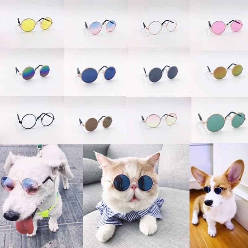 Óculos Decorativos Para Animais De Estimação Tendência Essencial Com Invencível Bonito De Gato Frio Cachorro