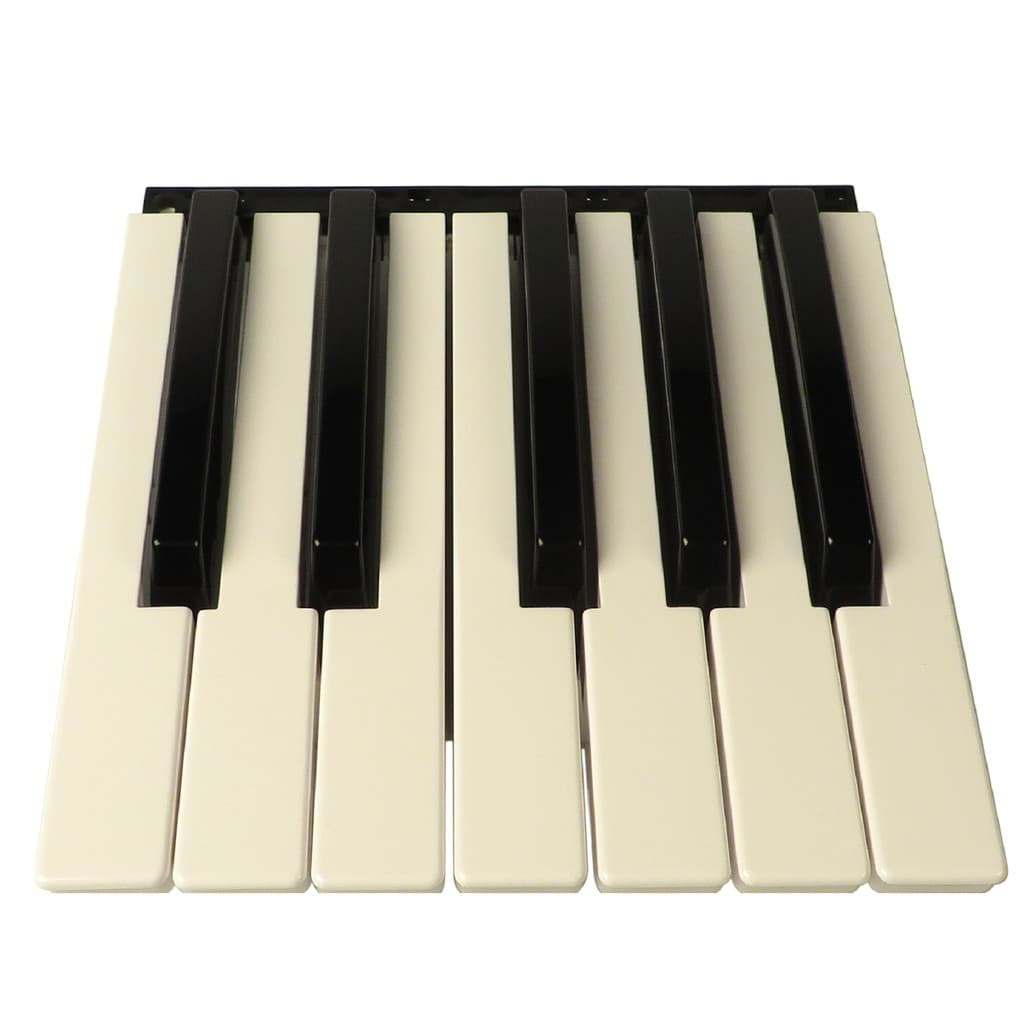 Tecla para Teclado Korg Pa600 Pa500 X50 Ps60 Krome Oitava Completa Nova