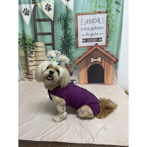 Roupa Pós Cirúrgica Unissex Castração Cães com Proteção UV