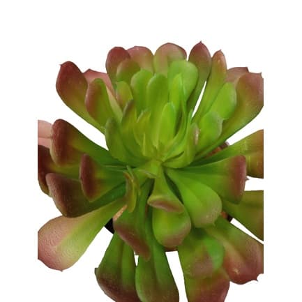 Planta Suculenta Artificial Decorativa- TU4216