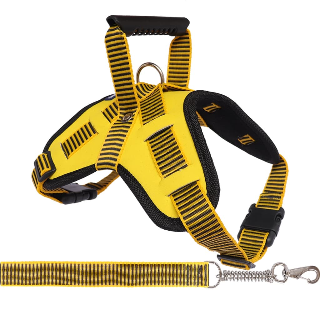 Peitoral  Califórnia Para Cães + Guia  Para Todas as Raças e Tamanhos