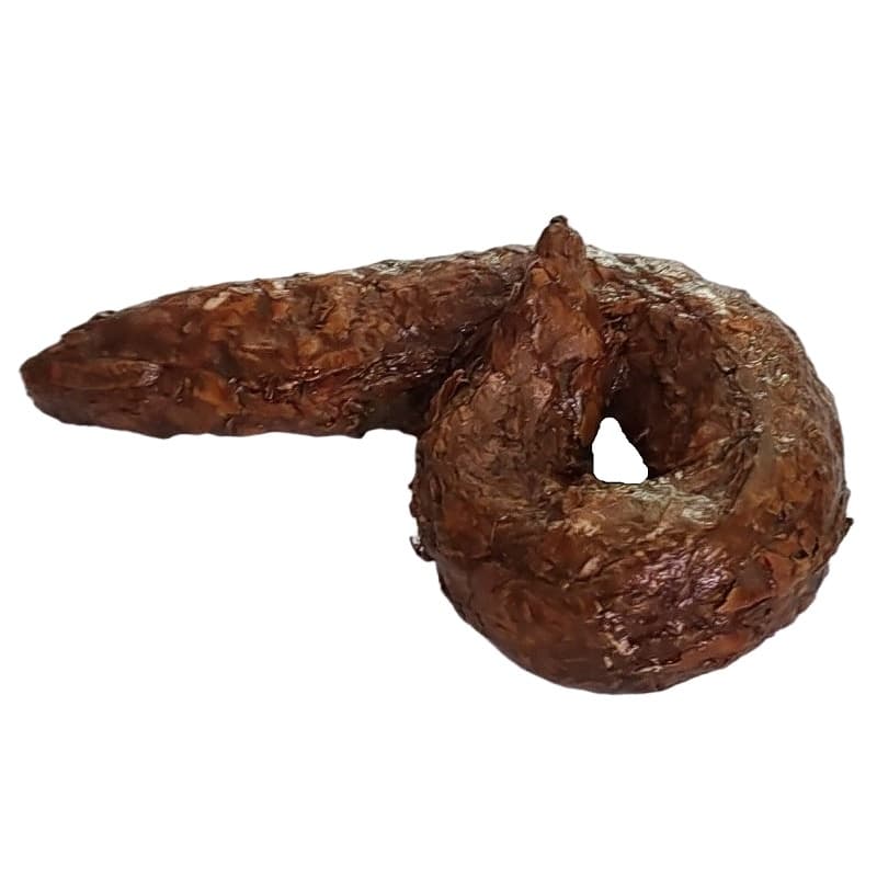 Coco Flor do Pântano Fezes de Mentira Brincadeira Pegadinha Susto Trolagem Cocô de Mentira Cachorro ou Humano.