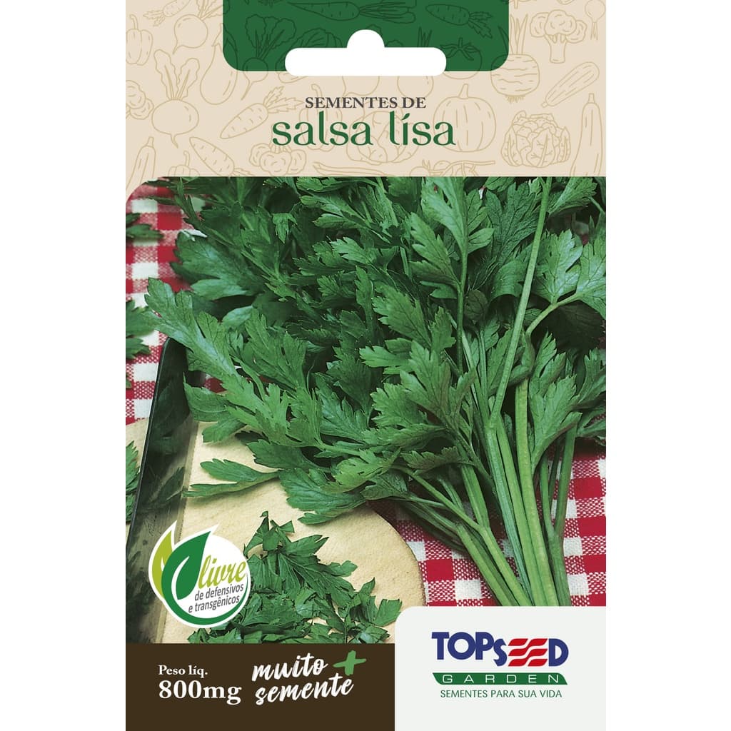 Sementes de Salsa Lisa Hortaliças Saladas Tempero Cozinha
