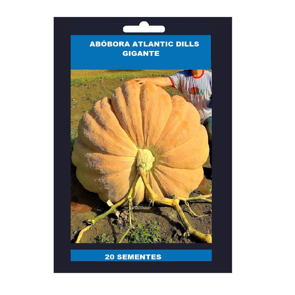 20 Sementes MORANGA  Gigante Dills Atlantic