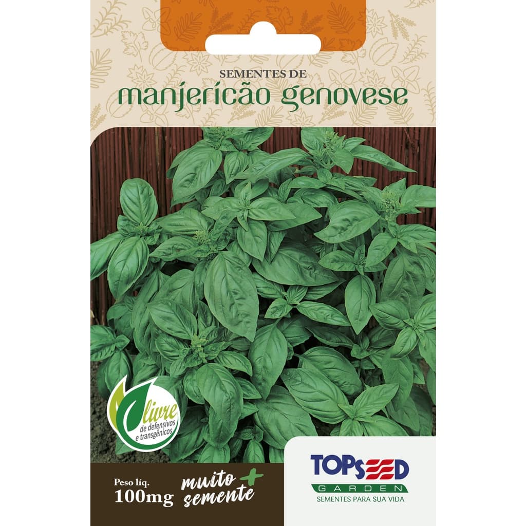 Sementes de Manjericão Genovese 100mg Temperos Ervas Molhos
