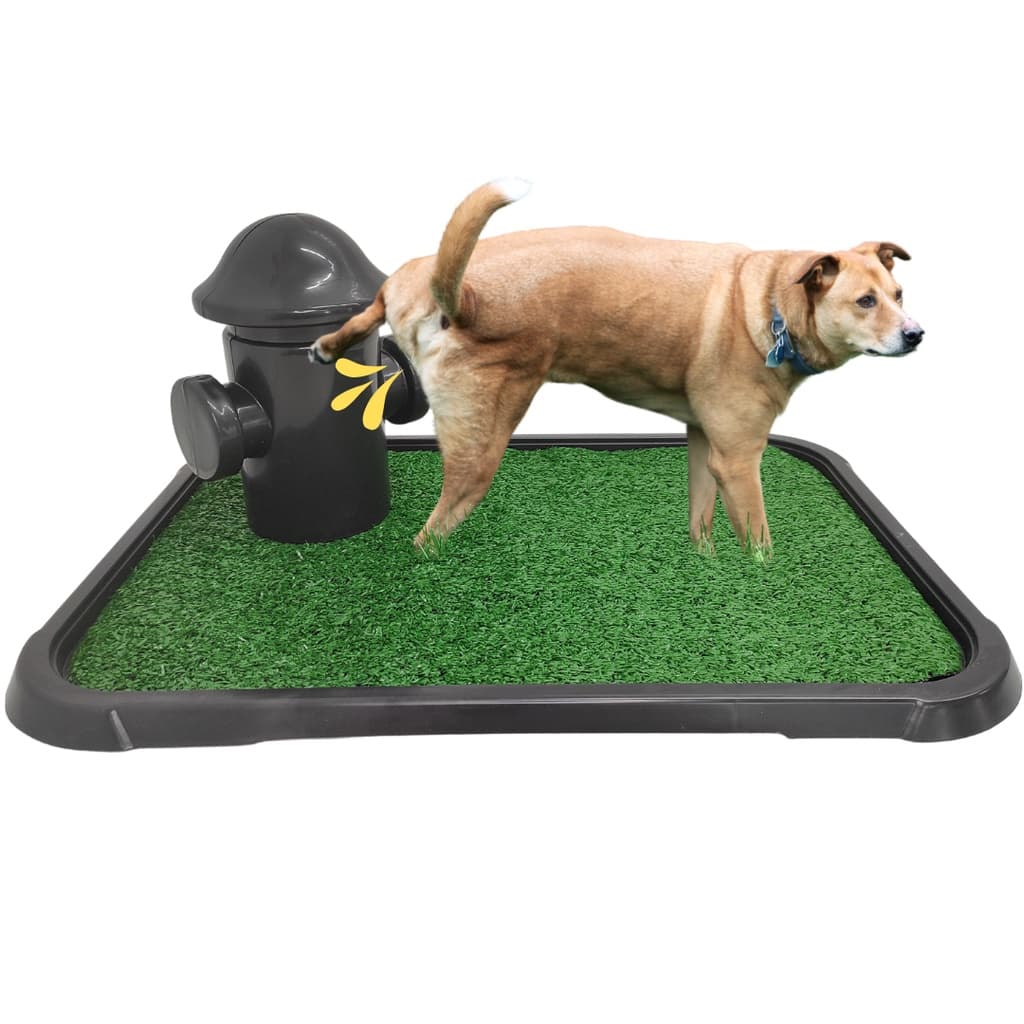 Sanitário Canino Grama Sintética Cães C/ Hidrante Poste Xixi Sim