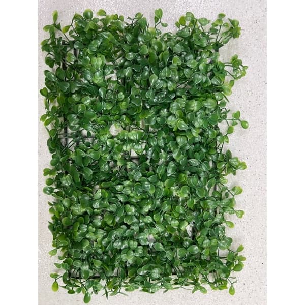 Placa de buxinho 20x30 unidade