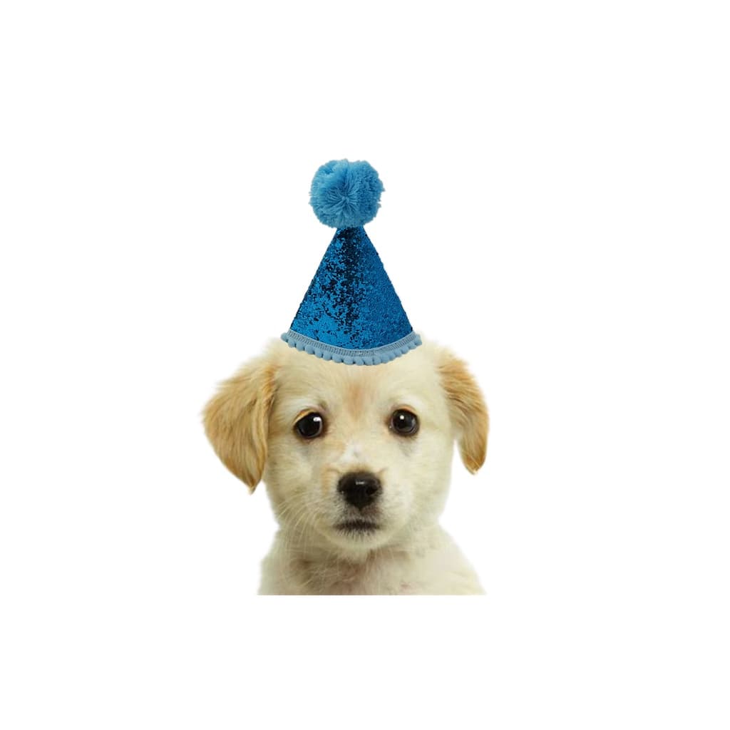 Chapéu aniversário cachorro/gato festa brilho chapeuzinho c/ pompom