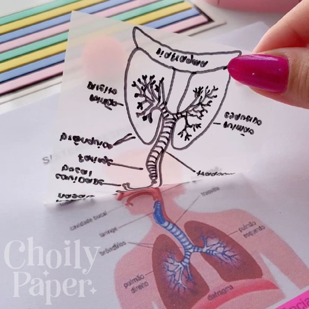 Post it Bloco de Notas Transparente 50 Folhas Marcador Permanente Dual Marker Autoadesivo Escolar