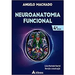 Neuroanatomia Funcional