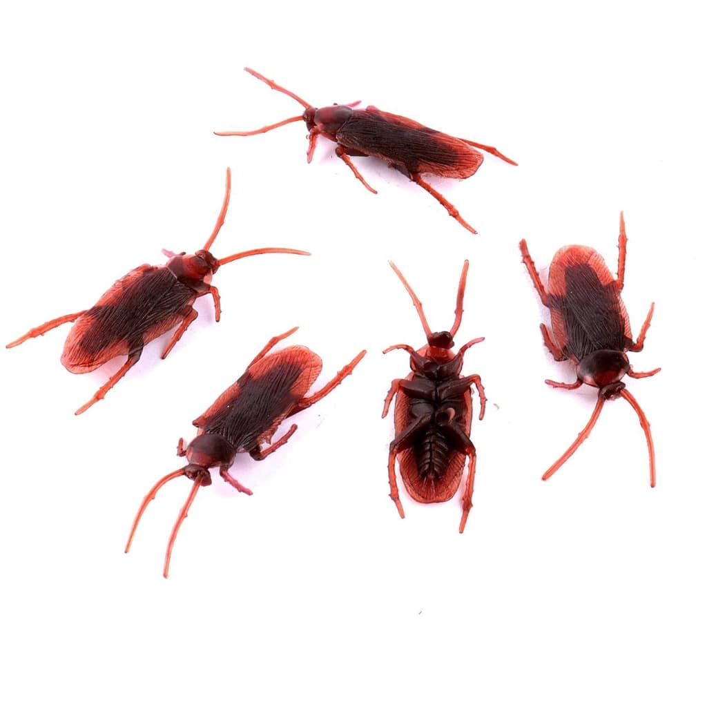 Kit 05 Baratas Insetos Pegadinha Assustar Susto Barata Divertido