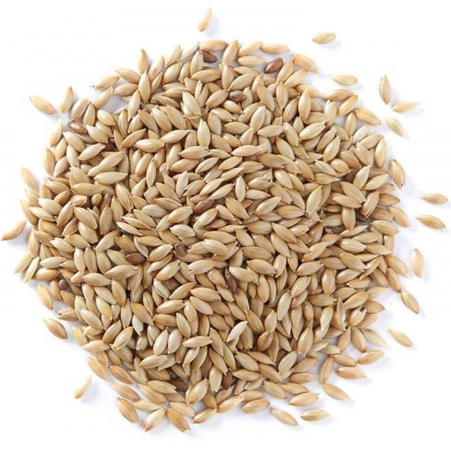 Alpiste consumo Humano 1kg- leite de alpiste Pronta Entrega