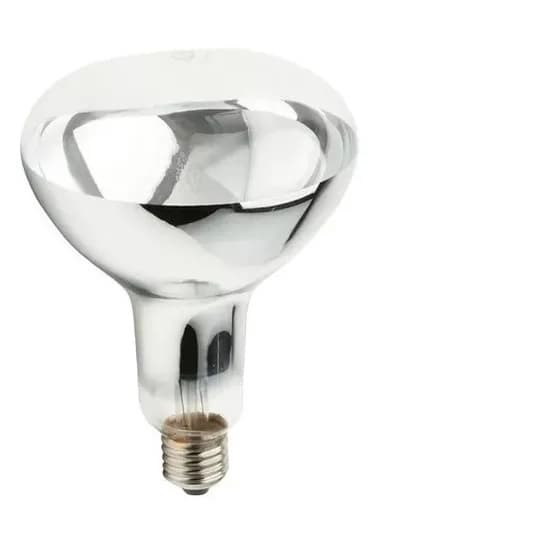 Lampada Para Aquecimento 250w 220v E27