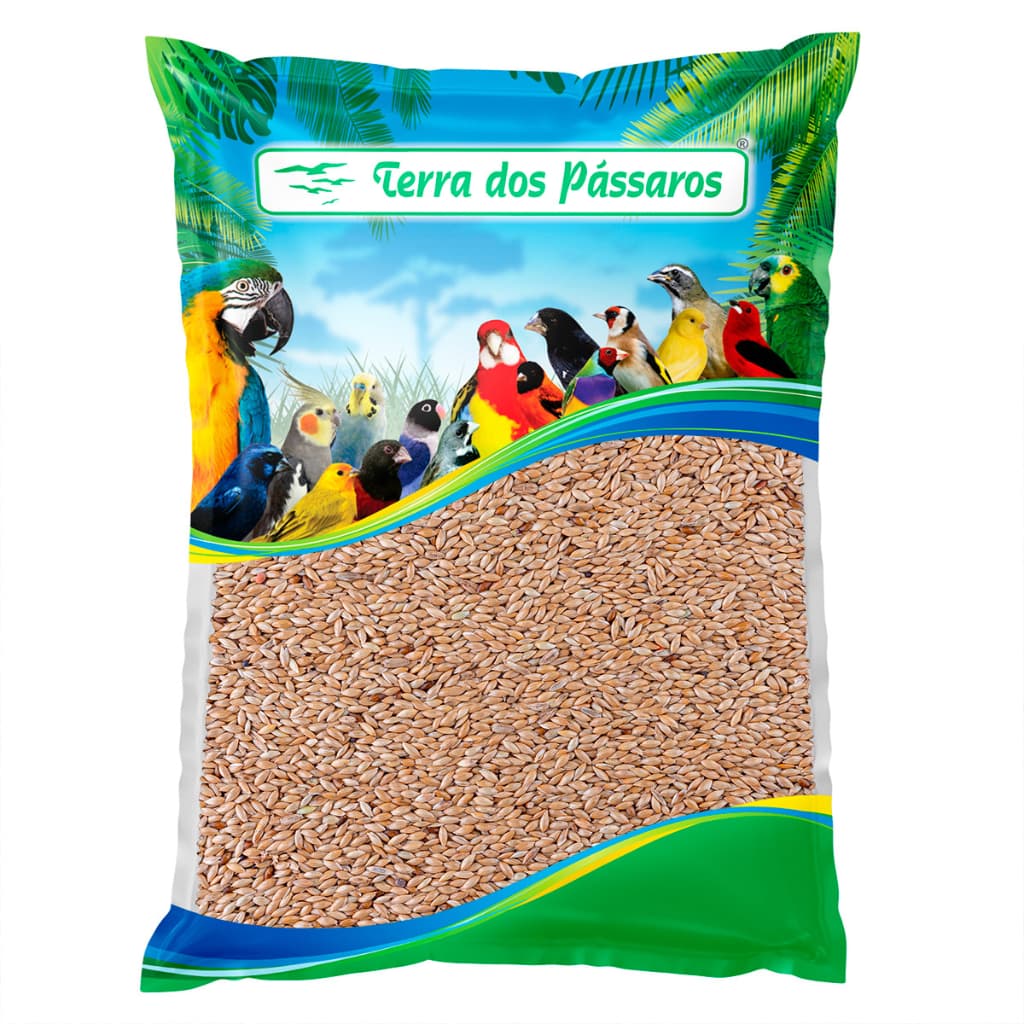Semente de Alpiste para Pássaros - 500g - Escolha a quantidade