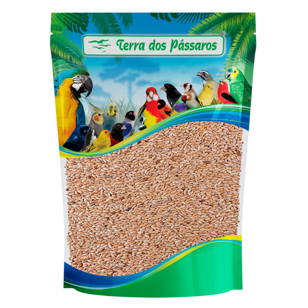 Semente de Alpiste para Canários e Demais Pássaros - 200g - Escolha a quantidade