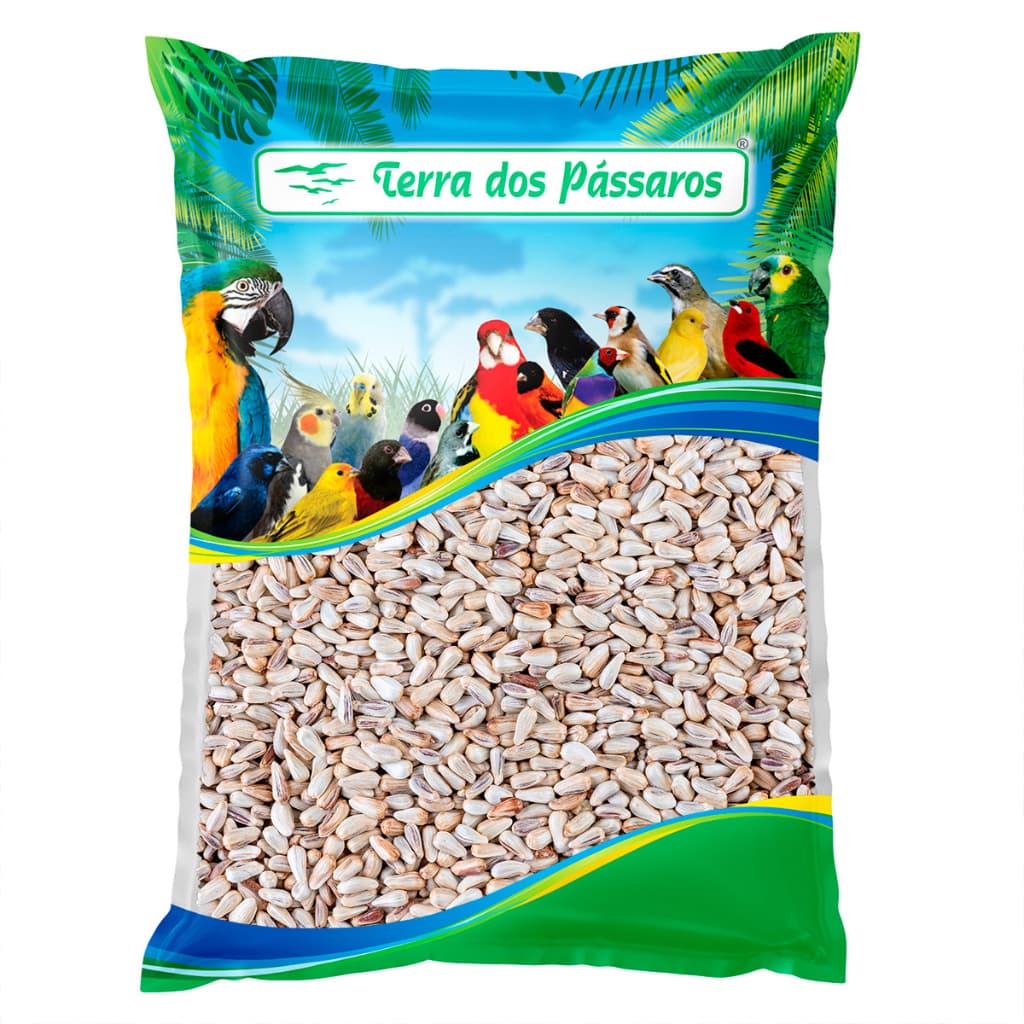 Semente de Cártamo para Pássaros - 500g - Limpa